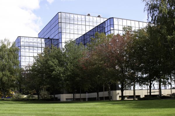 Commercial Tree Trimming in Warrenton