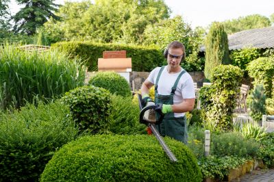Landscaping Services with Tree Care